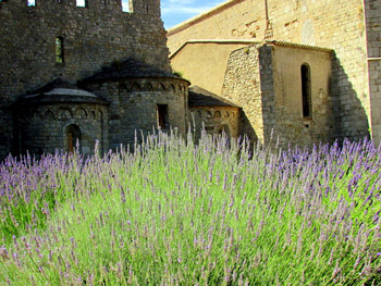 Link to Allison Doherty's Canal du Midi essays and photos page