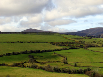 Link to Allison Doherty's Ireland 2015 essays and photos page