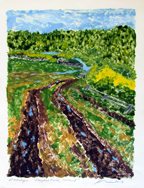 Allison Doherty: Farm Gates, Cow House, Ireland