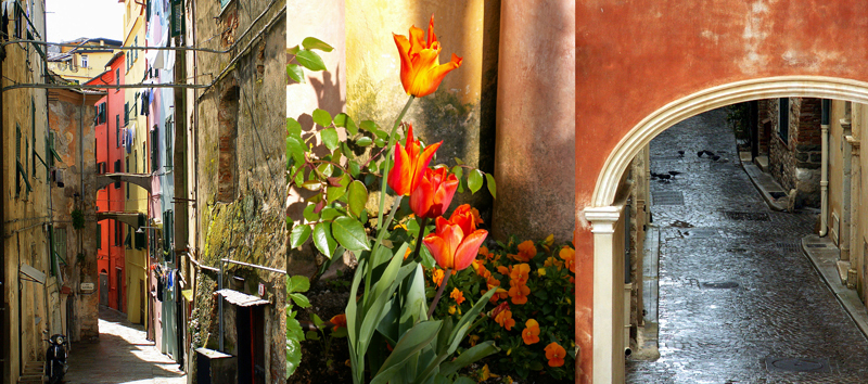 Allison Doherty Travel Photos - Alpes Maritimes et Alpes-de-Haute-Provence, 2011