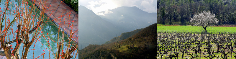 Allison Doherty Travel Photos - Alpes Maritimes et Alpes-de-Haute-Provence, 2011