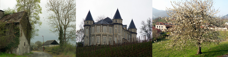 Allison Doherty Travel Photos - Venetian Lagoon 2013