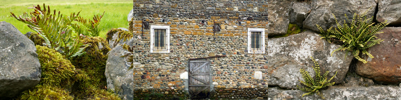 Allison Doherty Travel Photos - Venetian Lagoon 2013