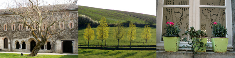 Allison Doherty Travel Photos - Venetian Lagoon 2013