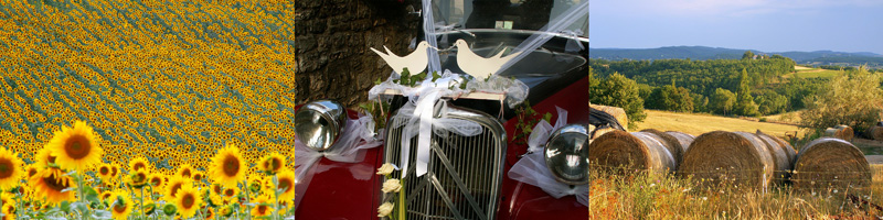 Allison Doherty Travel Photos - Atelier Montmiral, 2009