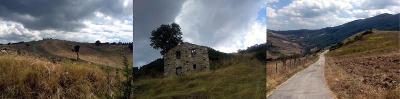 Allison Doherty Travel Photos - Basilicata 2014