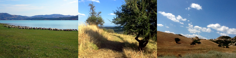 Allison Doherty Travel Photos - Basilicata 2014