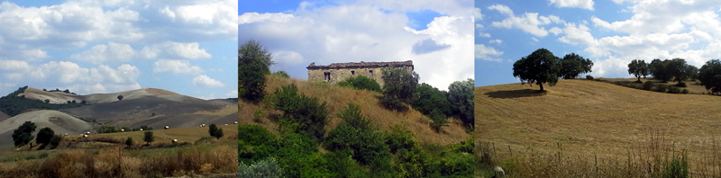 Allison Doherty Travel Photos - Basilicata 2014