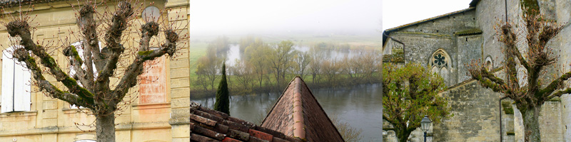 Allison Doherty Travel Photos - Dordogne, 2008