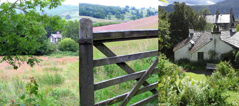 Allison Doherty Travel Photos - England, 2016