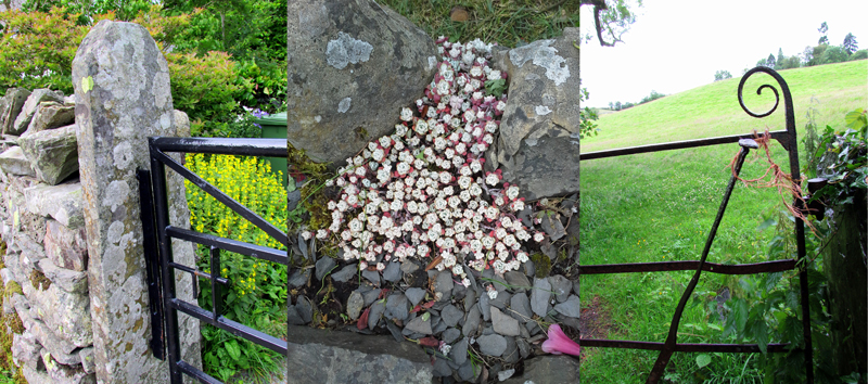 Allison Doherty Travel Photos - England, 2016