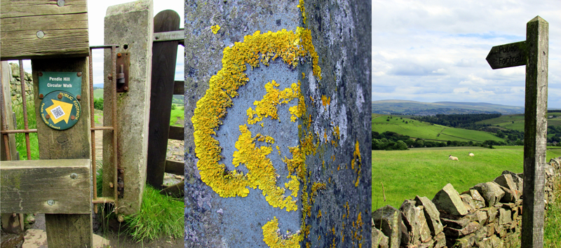 Allison Doherty Travel Photos - England, 2016