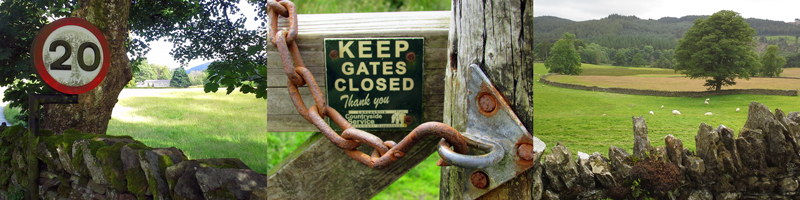 Allison Doherty Travel Photos - England, 2016