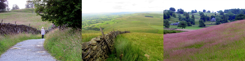 Allison Doherty Travel Photos - England, 2016