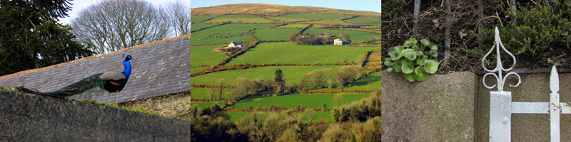 Allison Doherty Travel Photos - Ireland, 2015