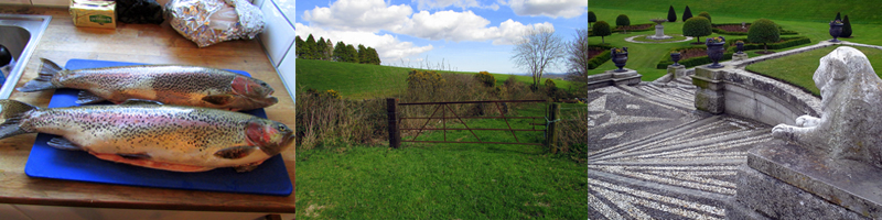 Allison Doherty Travel Photos - Ireland, 2015