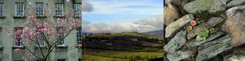 Allison Doherty Travel Photos - Ireland, 2015