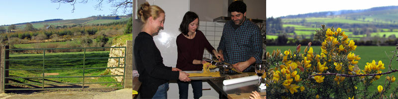 Allison Doherty Travel Photos - Ireland, 2015