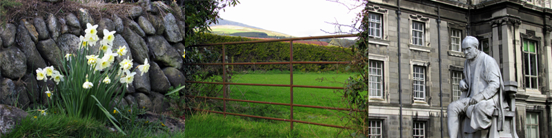 Allison Doherty Travel Photos - Ireland, 2015