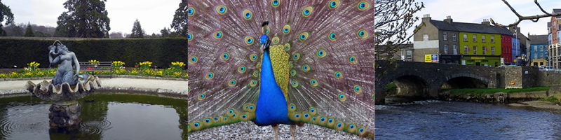 Allison Doherty Travel Photos - Ireland, 2015