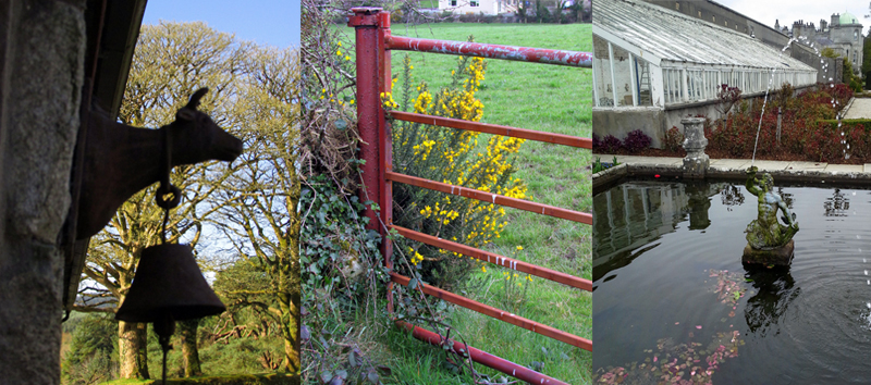 Allison Doherty Travel Photos - Ireland, 2015