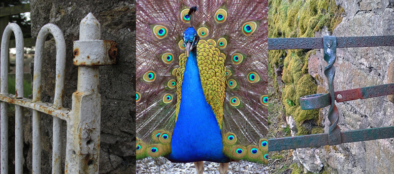 Allison Doherty Travel Photos - Ireland, 2015