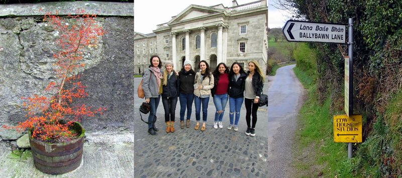 Allison Doherty Travel Photos - Return to Cowhouse, 2017