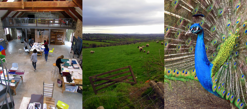 Allison Doherty Travel Photos - Return to Cowhouse, 2017