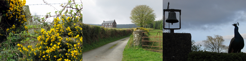 Allison Doherty Travel Photos - Return to Cowhouse, 2017