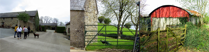 Allison Doherty Travel Photos - Return to Cowhouse, 2017