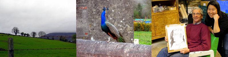 Allison Doherty Travel Photos - Return to Cowhouse, 2017