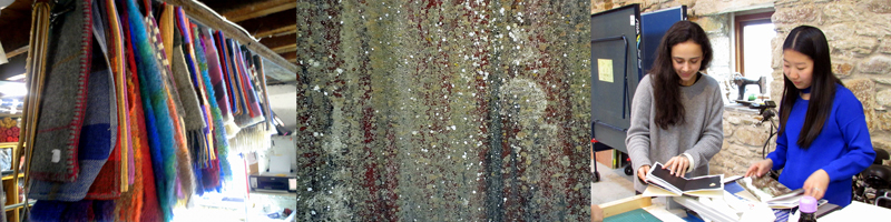 Allison Doherty Travel Photos - Return to Cowhouse, 2017