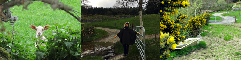 Allison Doherty Travel Photos - Return to Cowhouse, 2017