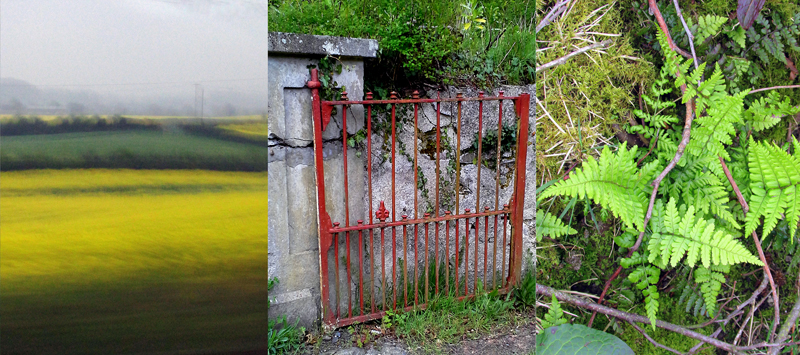 Allison Doherty Travel Photos - Return to Cowhouse, 2017