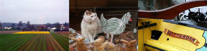 Allison Doherty Travel Photos - The_Netherlands, 2010