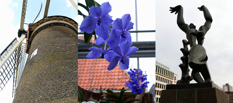 Allison Doherty Travel Photos - The_Netherlands, 2010