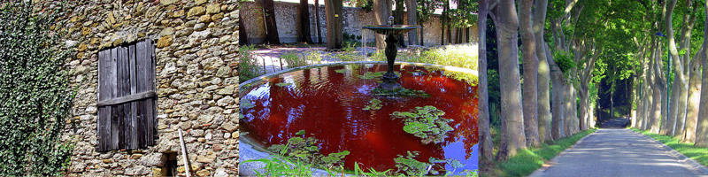 Allison Doherty Travel Photos - Canal du Midi, 2015