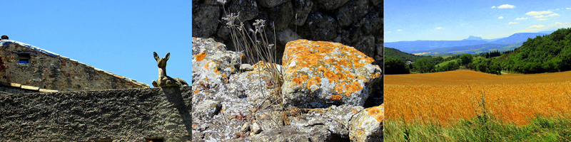 Allison Doherty Travel Photos - Canal du Midi, 2015