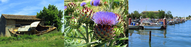 Allison Doherty Travel Photos - Canal du Midi, 2015