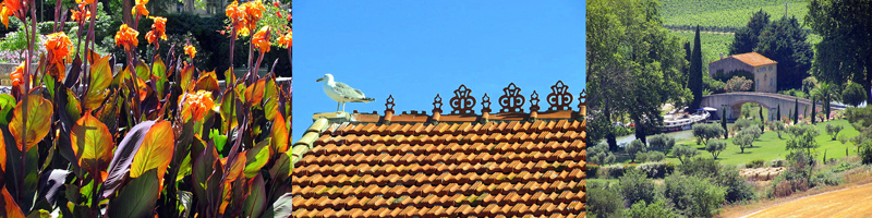 Allison Doherty Travel Photos - Canal du Midi, 2015