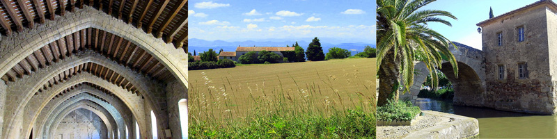 Allison Doherty Travel Photos - Canal du Midi, 2015