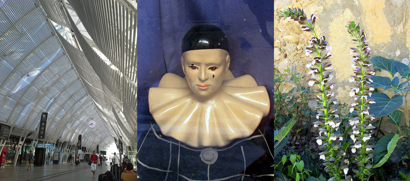 Allison Doherty Travel Photos - Canal du Midi, 2015