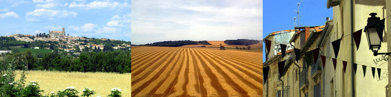 Allison Doherty Travel Photos - Canal du Midi, 2015