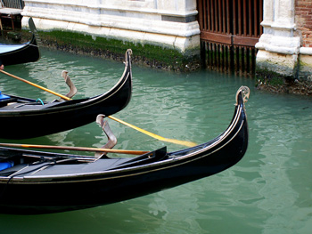 Link to Allison Doherty's Venetian Lagoon essays and photos page